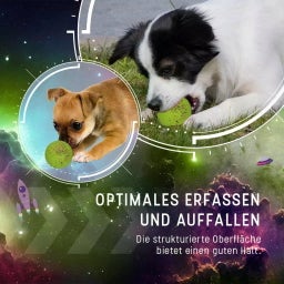 Dog Comets Stardust Grün - M