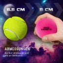 Dog Comets Stardust - Roze - 