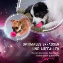 Dog Comets Stardust Rosa - M