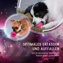 Dog Comets Stardust Rosa - M