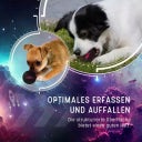 Dog Comets Stardust M - Schwarz/Orange