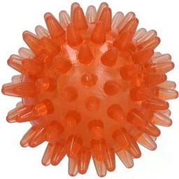 Dog Comets Exoplanet Spiky Ball Orange - S