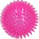 Dog Comets Exoplanet Igelball Rosa - M