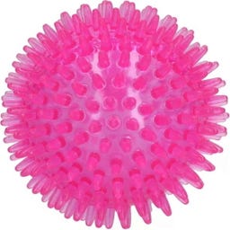 Dog Comets Exoplanet Igelball Rosa - M
