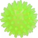 Dog Comets Exoplanet Igelball Grün - S