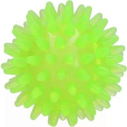 Dog Comets Exoplanet Spiky Ball Green - S