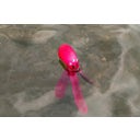 Dog Comets Alien Octo - Pink - M