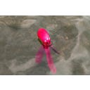 Dog Comets Alien Octo Rosa - M