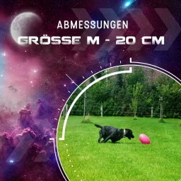 Dog Comets Pan-Stars Rosa - M