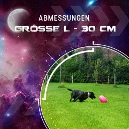 Dog Comets Pan-Stars Rosa - L