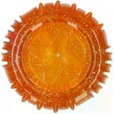 Dog Comets Treat Locker - Orange