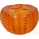 Dog Comets Treat Locker - Arancione