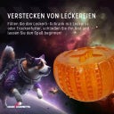 Dog Comets Treat Locker - Orange