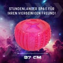 Dog Comets Treat Locker - Rosa