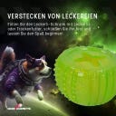 Dog Comets Treat Locker - Grün