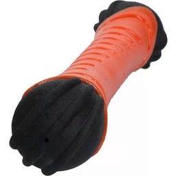 Dog Comets Asteroid Fetch Stick Orange - S