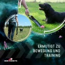 Dog Comets Star Launcher - Grün