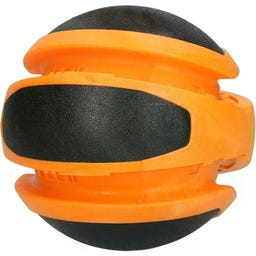 Dog Comets Planets - Orange