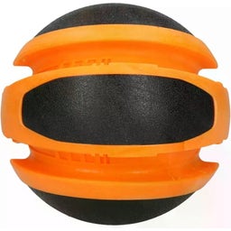 Dog Comets Planets - Oranje