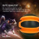 Dog Comets Planets - Orange