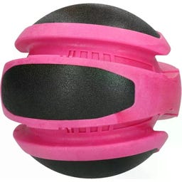 Dog Comets Planets - Roze