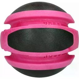 Dog Comets Planets - Roze