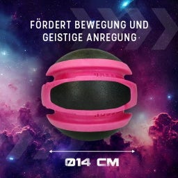 Dog Comets Planets - Rosa