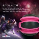 Dog Comets Planets - Rosa