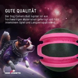 Dog Comets Planets - Rosa