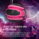 Dog Comets Planets - Rosa