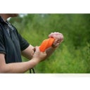 Dog Comets Orion - Orange