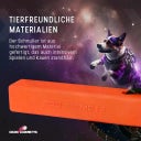 Dog Comets Orion - Orange