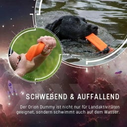 Dog Comets Orion - Orange