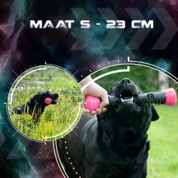 Dog Comets Meteor Wurfstock Rosa - S