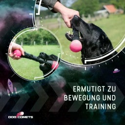 Dog Comets Meteor Wurfstock Rosa - S