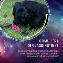 Dog Comets Moonstone Leckerball - Rosa