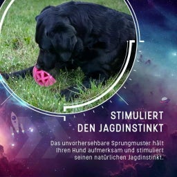 Dog Comets Moonstone Leckerball - Rosa