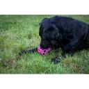 Dog Comets Moonstone Treat Cube - Green