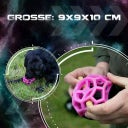 Dog Comets Moonstone Leckerkubus - Orange