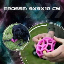 Dog Comets Moonstone Leckerkubus - Orange