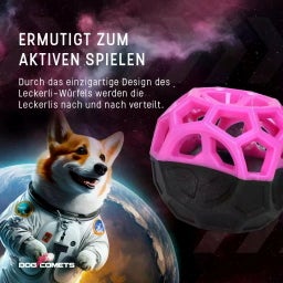 Dog Comets Moonstone Leckerkubus - Orange