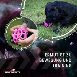 Dog Comets Moonstone Leckerkubus - Orange