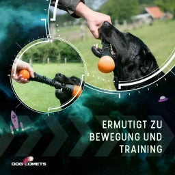 Dog Comets Meteor Wurfstock Orange - S