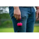 Dog Comets Blazar Jet - 