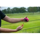 Dog Comets Blazar Jet - Pink