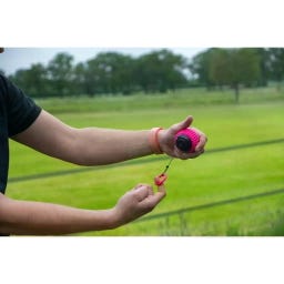 Dog Comets Blazar Jet - 