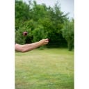 Dog Comets Blazar Jet - 