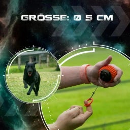 Dog Comets Blazar Jet - Orange