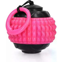 Dog Comets Blazar Jet - Pink