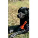 Dog Comets Bobber - Green